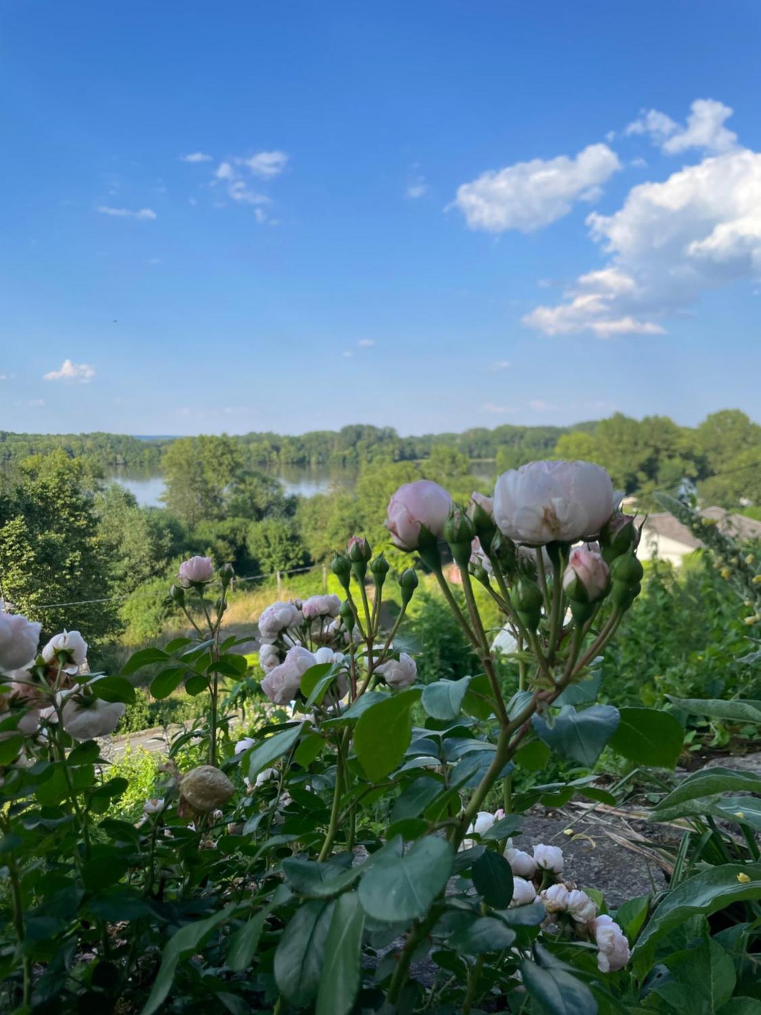 Gite Des Perreyeurs - Maison Troglodyte Avec Vue Sur Loire Монтзоро Экстерьер фото